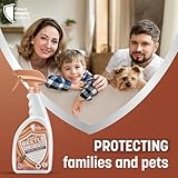 Carpet Beetle Killer Spray 650ml - Powerful Insecticide for Beetles Spray - Long-Lasting Protection from Beetles, Larvae & Eggs - Fast-Acting Carpet Beetle - Image 6
