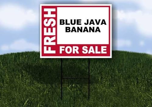 BLUE JAVA BANANA Fresh For Sale Pink 1 Single Sided 18x24 in Yard Road Sign w/stand