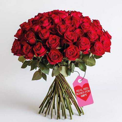GlobalRose Fresh Cut Red Roses - 100 (4 Bundles of 25) Fresh Flowers Bouquet for Mothers Day