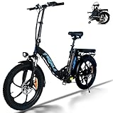 HFRYPShop E-Bike Elektrofahrrad, E-Bike Klapprad mit Hinterradmotor 250W, 48V, 45 Nm | Abnehmbare 10,4Ah Batterie | Bis zu 60KM, E-Bike Herren Damen, StVZO-KONFORM E-Bike Pedelec