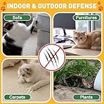 Cat Repellent Spray, Cat Deterrent Spray - Indoor & Outdoor Training Safe Cat Training Spray, Protect Furniture, Sofas, Rugs, Restricted Areas-for Behavior, Natural, Effective - Orange Pack - Image 5
