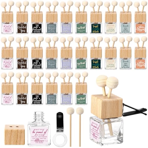 Image of Havawish 20 Pcs Glass Car Diffuser Bottles with Wooden Caps - Refillable Essential Oil Diffuser Vent Clip Aromatherapy Car Freshener Employee Teacher Appreciation Gifts