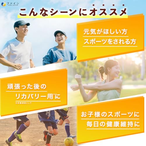 ファイン クエン酸スティック 30包×2個セット