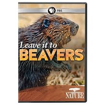 Nature Leave It to Beavers