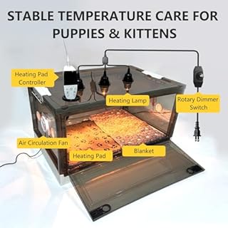 Geniprem Puppy Incubator with Heating and Fan, Kitten Incubator, 85L (With Fan), White Translucent Plastic, Modern Style, Indoor Use, Terrarium