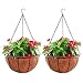 Hanging Planter Hanging Flower Basket 2Pack with Coco Coir Liner Metal Chain 12inch Round Wire Plant Growers Holder Flower Pots Hanger for Indoor Outdoor Garden Porch Decoration