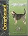 Otterhound - Cunliffe, Juliette