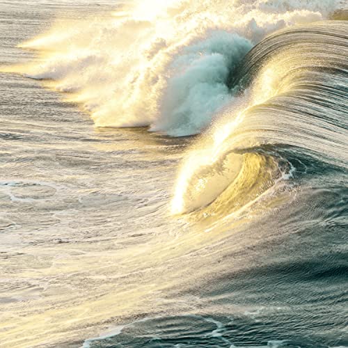 Waves of The Caribbean