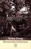  Brennendes Geheimnis: Erzählung (Gesammelte Werke in Einzelbänden)