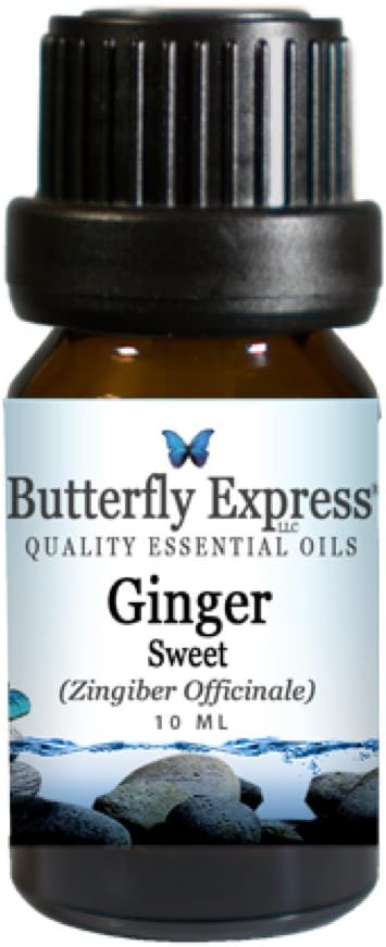 Butterfly Express Ginger Sweet Essential Oil. 10 ml. 100% Pure, Undiluted, Therapeutic Grade.