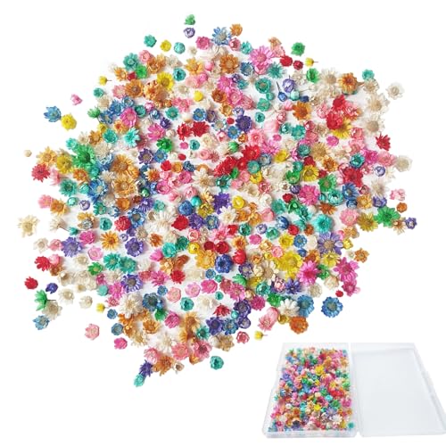 ZOCONE 280 Piezas Mini Flores Secas para Resina Multicolor Naturales Flores Secas Manualidades Pequeñas con Caja para Resina Epoxi Margaritas Decoracion para Bricolaje Epoxi