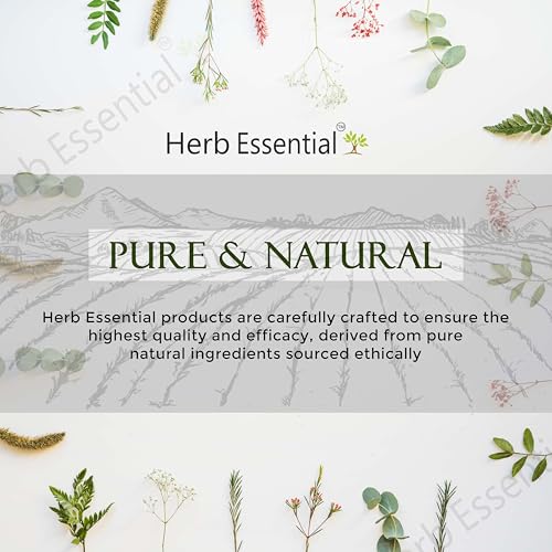 Image of Herb Essential Henna Powder for hair 100g (Pack of 2) | Natural Henna for Hair Color & Growth, Chemical-Free, No Preservatives, For Men & Women, Strength & Shine Hair Care