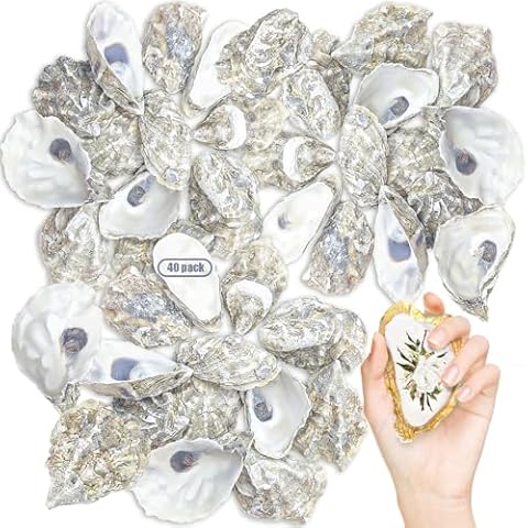 stonechic 40PCS Oyster Shells Large Oyster Shells Bulk Oyster Shells for Home Decor Vase Filler, Ornaments, DIY Arts and Crafts Sea Shells, Deeper Shells 4"-5" Cover