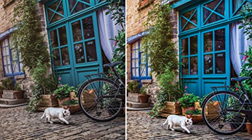 Corel Paintshop Pro X9 (Old Version) #TOP4