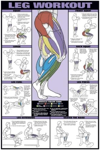 ALGRA Leg Workout 24" X 36" Laminated Chart
