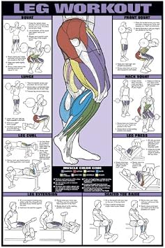 ALGRA Leg Workout 24" X 36" Laminated Chart