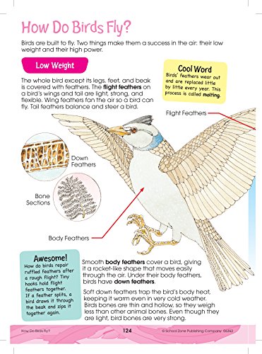 School Zone - Giant Science Workbook - Ages 7 To 9, Second And Third Grade, Weather, Seeds, Plants, Insects, Ocean Life, Birds, And More (School Zone Giant Workbook Series) #TOP4