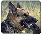 3. Proporciona un excelente seguimiento del mouse para una pelota o un mouse óptico;