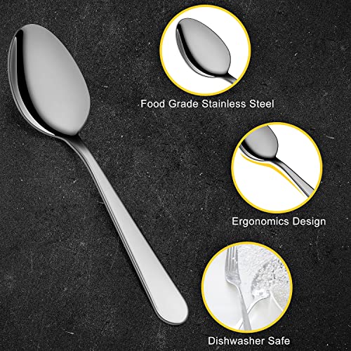 Pleafind Spoon Set, 12-Piece Stainless Steel Dessert Spoons Dining, view 3