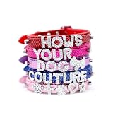 HYD - Collars & Leads How's Your Dog Fab Glitter Name Me Personalized Collar for Dogs and Cats - Fre