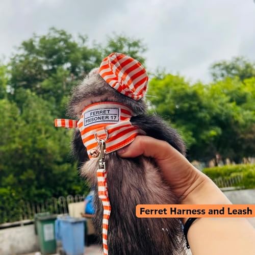 Image of Ferret Harness and Leash Adjustable Soft Cotton Small Pet Harness with Safe Bell, No Pull Comfort Padded Vest for Ferret, Guinea Pigs, Chinchilla (Orange)