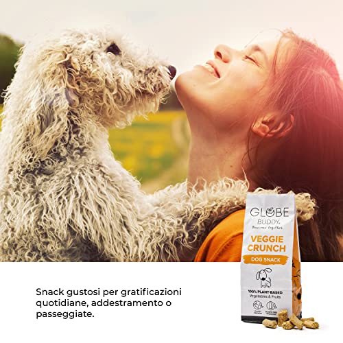Globe Buddy Snack Veggie