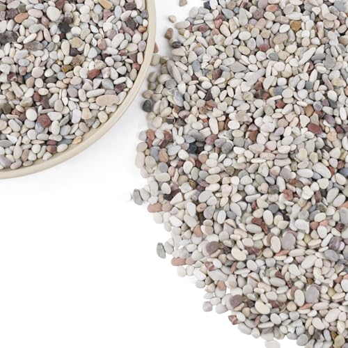 Image of 7lb Succulent and Cactus Gravel Pebbles, 1 /5 Inch Mixed Color Natural Rocks for Fish Tank, Indoor Plants, Aquarium, Vases, Landscaping