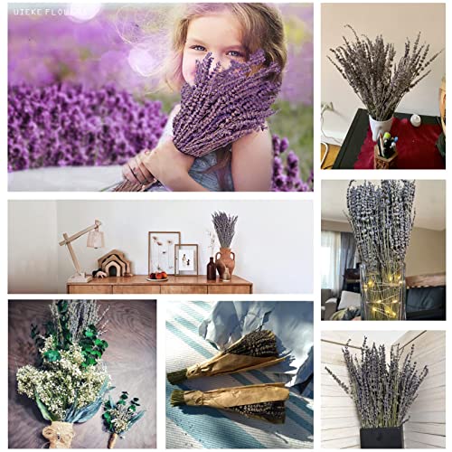Dried Lavender Bundles - Image 3