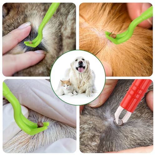 KEWUZY Zeckenzange Zeckenhaken Zeckenentferner, 3er Set Zeckenhaken Und 1er Set Zeckenpinzetten, Zeckenzange Bieten Menschen Und Tieren Eine Einfache, Bequeme Und Sichere