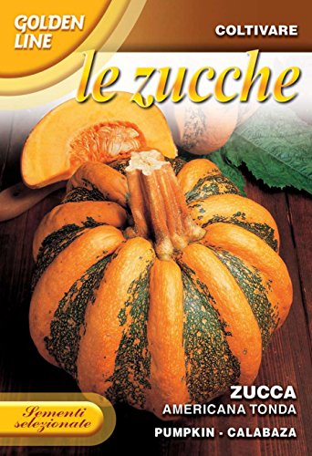 Zucca Americana Tonda