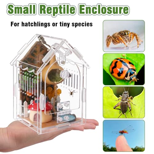 Image of Acrylic Jumping Spider Enclosure with Magnetic Lock & Feeding Port