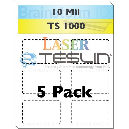 Perforated Laser Teslin® Synthetic Paper - 5 Sheets