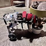 Aide à la mobilité en fauteuil roulant pour chatons handicapés avec 2 roues, attelle de jambe réglable pour chien pour l'arthrite, amputation, chat, chiot, outils de marche des pattes arrièr