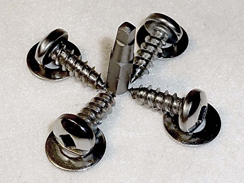 American Car And Truck Security License Plate Screws • Stainless Steel #TOP8