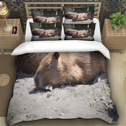 Housse de Couette Papillon pour une Chambre Parentale Moderne - 5
