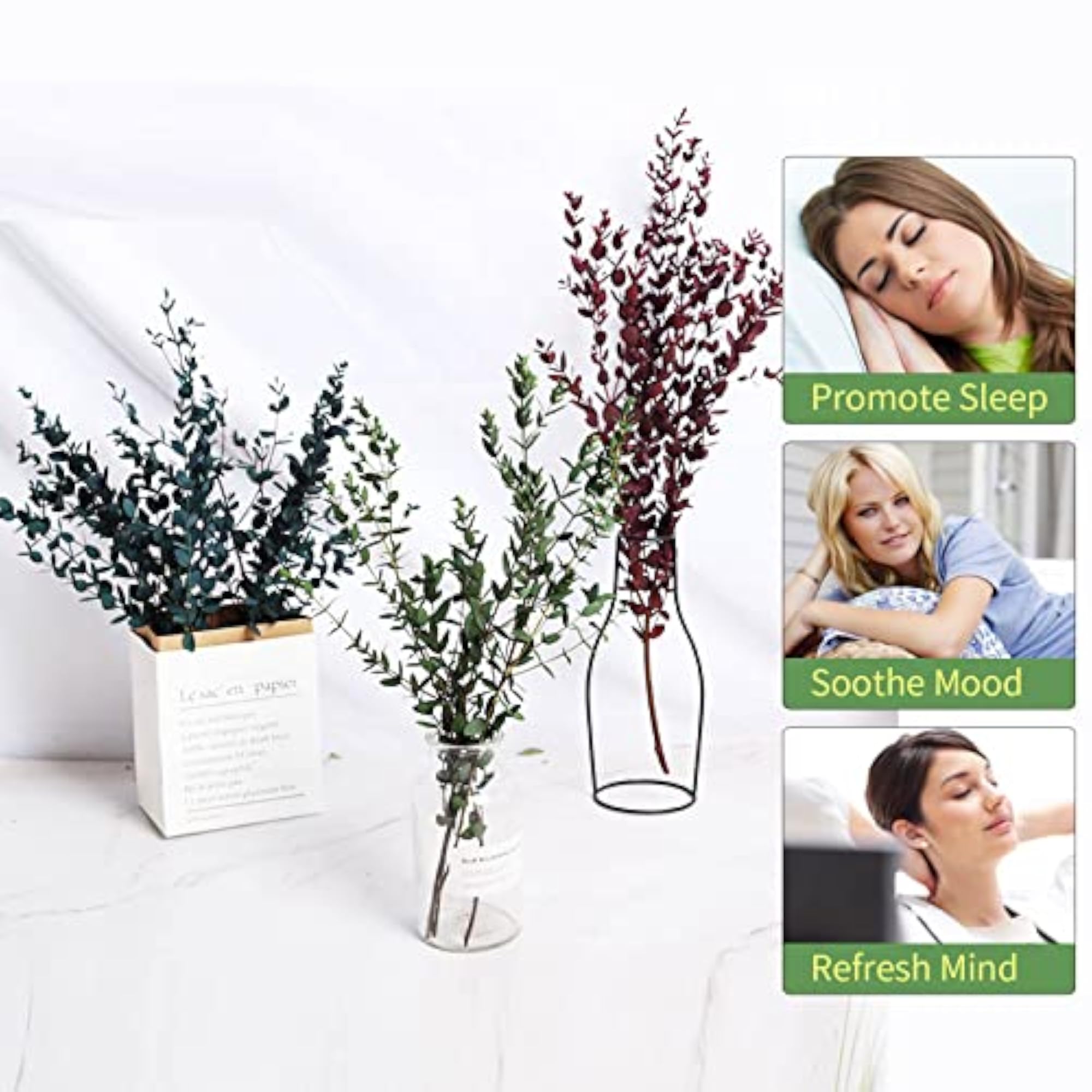 Dried Eucalyptus Leaves, 8-14 Pieces for Decor