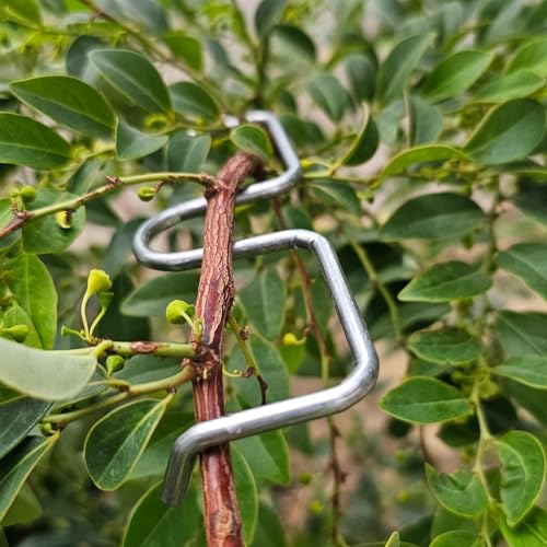 Dispersores para Ramas de Árbol para Frutas 20 Piezas miniatura 2
