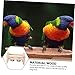 LIOOBO Wooden Bird Stand Stainless Steel Food Cup Parrot Training Bar and Perch Stick Toy for Desktop Use for Parakeets and Small Birds