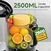 AMZCHEF Entsafter Slow Juicer 600W, 160 mm Einfüllschacht für Ganze Früchte und Gemüse, 2,5L Kaltpresse Saftpresse für frische Säfte, Sorbet & Nussmilch, Hohe Saftausbeute, Leise, Matt Schwarz