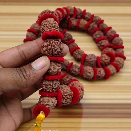 BIG Size 18mm Rudraksha Japa Mala Rosary Prayer Kantha Mala Panchmukhi 5 Mukhi 54+1 Beads Necklace Genuine Himalayan Original Authentic Nepali Rudraksha Mala Hindu Meditation Ornaments Yoga Garland3