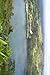 Produktbild Bomi Lake in Liberia, Africa Journal: Take Notes, Write Down Memories in this 150 Page Lined Journal