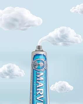 Marvis Aquatic Mint Travel Size Toothpaste, 25 ml, Sensational Flavoured Toothpaste Helps Remove Plaque with Long-Lasting Freshness (Pack of 2)
