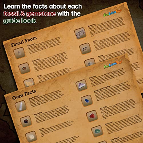 image for FUN LITTLE TOYS Gemstone Dig Kit 20 Real Gemstones and Fossils, Scienc