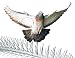 Nixalite Bird Spikes Premium Model S (8ft, 4-2ft Strips)