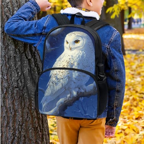 Snowy Owl Print Boys Backpack for School with Insulated Lunch Bag Student Comfy Padded Back Smooth Zipper 17 Inch School Bookbag for Boys Backpack with Lunch Box3