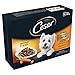 Price comparison product image Cesar Fresh Dog Pouches Favourites in Sauce, 8x100g (800g)