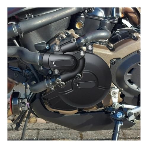 Protector de cubierta motor contra impactos en Monster 821 2