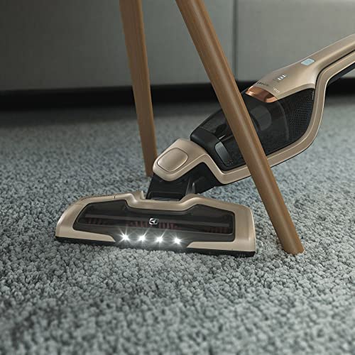 Aspirador de Pó vertical bateria ergorapido 2 em 1 Electrolux 45 min Luz LED pedal limpeza facil esc