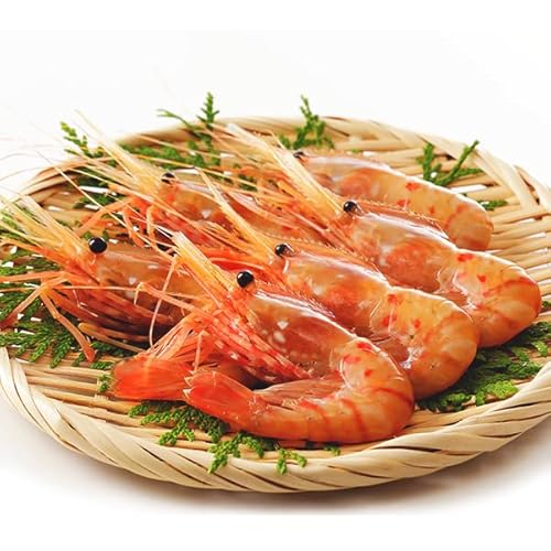 築地魚群 生ボタンエビ500g(お刺身用)