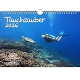 Calendario DIN A4 para 2026 bajo el agua y buceo Seelenzauber